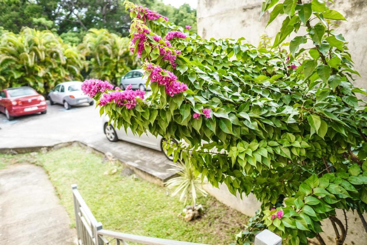 Color Garden - Studio Martinique Sainte-Anne Zewnętrze zdjęcie
