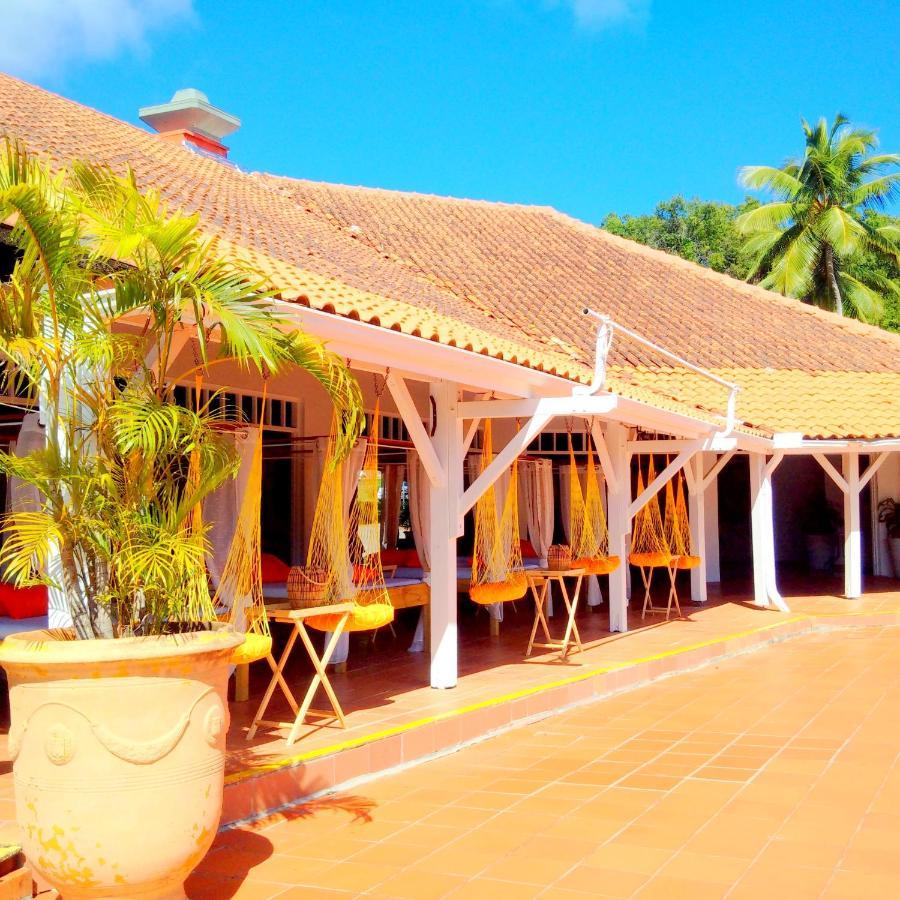 Color Garden - Studio Martinique Sainte-Anne Zewnętrze zdjęcie
